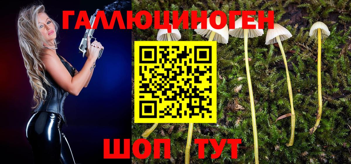 Псилоцибиновые грибы мухоморы Корсаков